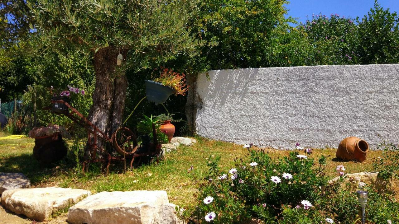 Louro'S Villa - 12130Al Cantanhede Exterior photo