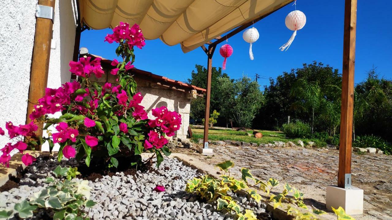 Louro'S Villa - 12130Al Cantanhede Exterior photo